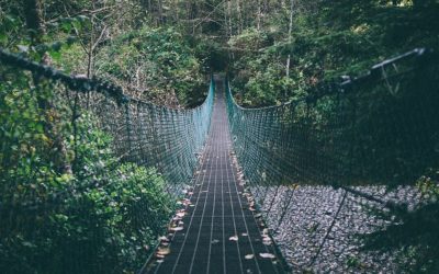 Three Most Dangerous Pedestrian Bridges In The World